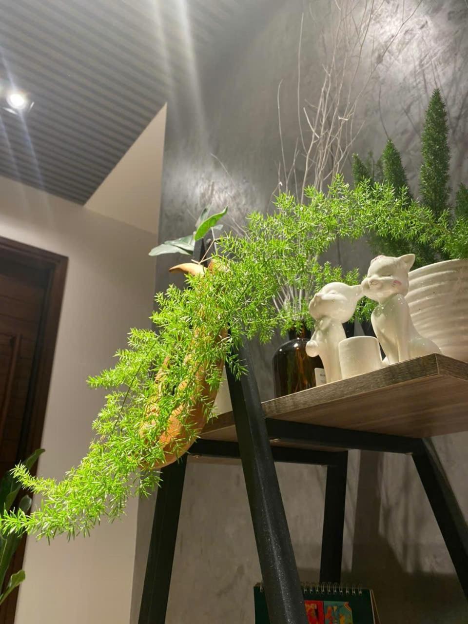 מלון Khu Chi Lăng Ekehaus Da Lat מראה חיצוני תמונה